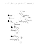 TARGETING OF GLYCOPROTEIN THERAPEUTICS diagram and image