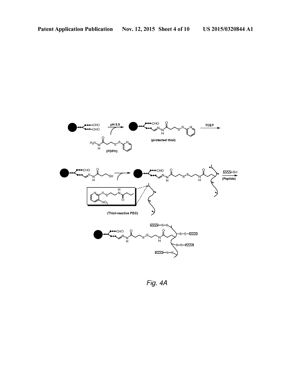 TARGETING OF GLYCOPROTEIN THERAPEUTICS - diagram, schematic, and image 05