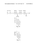 CONTROLLED RELEASE OF IMMUNOSUPPRESSANTS FROM SYNTHETIC NANOCARRIERS diagram and image