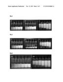 EMULSIONS STABILIZED BY WHEY PROTEIN MICELLES diagram and image