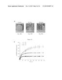 Epimorphic Regeneration and Related Hidrogel Delivery Systems diagram and image