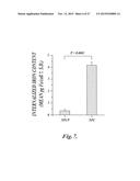 NANOPARTICLES FOR BRAIN TUMOR IMAGING diagram and image