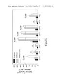 NANOPARTICLES FOR BRAIN TUMOR IMAGING diagram and image