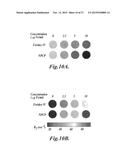 NANOPARTICLES FOR BRAIN TUMOR IMAGING diagram and image