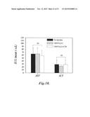 NANOPARTICLES FOR BRAIN TUMOR IMAGING diagram and image