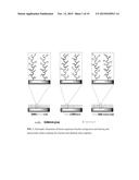 MULTI-FUNCTIONAL SURFACE COATING OF IMPLANTS diagram and image