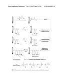 MULTI-FUNCTIONAL SURFACE COATING OF IMPLANTS diagram and image