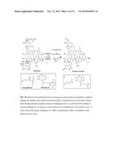 MULTI-FUNCTIONAL SURFACE COATING OF IMPLANTS diagram and image