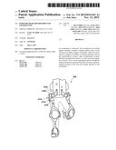 Forward or Rearward Oriented Exoskeleton diagram and image