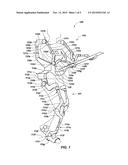 Forward or Rearward Oriented Exoskeleton diagram and image