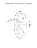 SYSTEM FOR IMAGING AND ORIENTING SEEDS AND METHOD OF USE diagram and image