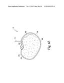 SYSTEM FOR IMAGING AND ORIENTING SEEDS AND METHOD OF USE diagram and image