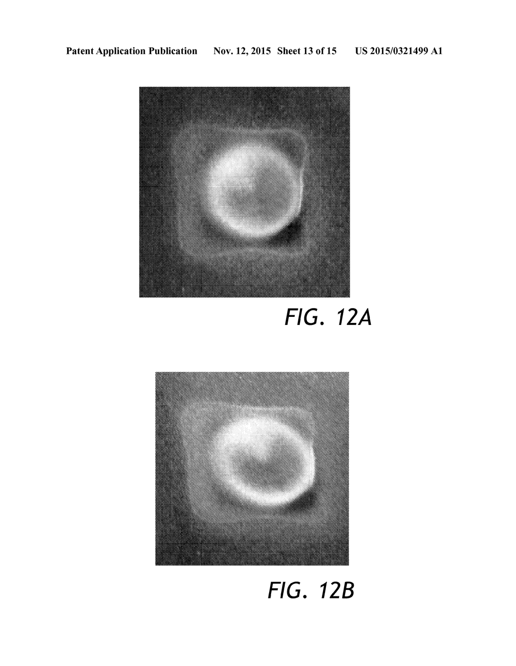 OPTICALLY VARIABLE DEVICE COMPRISING MAGNETIC FLAKES - diagram, schematic, and image 14