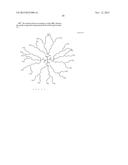 AMIDE DENDRIMER COMPOSITIONS diagram and image