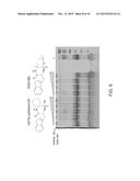 DIPEPTIDE ANALOGS FOR TREATING CONDITIONS ASSOCIATED WITH AMYLOID FIBRIL     FORMATION diagram and image