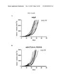 ENHANCING ANTI-CANCER ACTIVITY OF IMMUNOMODULATORY FC FUSION PROTEINS diagram and image