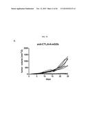 ENHANCING ANTI-CANCER ACTIVITY OF IMMUNOMODULATORY FC FUSION PROTEINS diagram and image