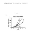 ENHANCING ANTI-CANCER ACTIVITY OF IMMUNOMODULATORY FC FUSION PROTEINS diagram and image