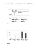 INDUCIBLE MUTAGENESIS OF TARGET GENES diagram and image