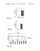 INDUCIBLE MUTAGENESIS OF TARGET GENES diagram and image