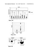 INDUCIBLE MUTAGENESIS OF TARGET GENES diagram and image