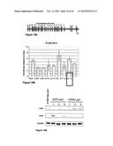 INDUCIBLE MUTAGENESIS OF TARGET GENES diagram and image