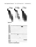 INDUCIBLE MUTAGENESIS OF TARGET GENES diagram and image