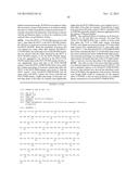 BINDING POLYPEPTIDES WITH OPTIMIZED SCAFFOLDS diagram and image