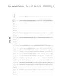 BINDING POLYPEPTIDES WITH OPTIMIZED SCAFFOLDS diagram and image