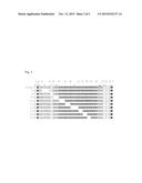 HUMAN ANTIBODY SPECIFIC TO HUMAN METAPNEUMOVIRUS, OR ANTIGEN-BINDING     FRAGMENT THEREOF diagram and image