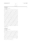 HUMAN ANTIBODY SPECIFIC TO HUMAN METAPNEUMOVIRUS, OR ANTIGEN-BINDING     FRAGMENT THEREOF diagram and image