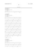 HUMAN ANTIBODY SPECIFIC TO HUMAN METAPNEUMOVIRUS, OR ANTIGEN-BINDING     FRAGMENT THEREOF diagram and image