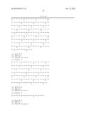 HUMAN ANTIBODY SPECIFIC TO HUMAN METAPNEUMOVIRUS, OR ANTIGEN-BINDING     FRAGMENT THEREOF diagram and image