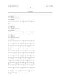 HUMAN ANTIBODY SPECIFIC TO HUMAN METAPNEUMOVIRUS, OR ANTIGEN-BINDING     FRAGMENT THEREOF diagram and image