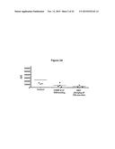 ANTAGONIST ANTIBODIES DIRECTED AGAINST CALCITONIN GENE-RELATED PEPTIDE AND     METHODS USING SAME diagram and image