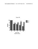 ANTAGONIST ANTIBODIES DIRECTED AGAINST CALCITONIN GENE-RELATED PEPTIDE AND     METHODS USING SAME diagram and image