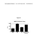 THERAPEUTIC USE OF ANTIBODIES TO HGF diagram and image