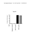 THERAPEUTIC USE OF ANTIBODIES TO HGF diagram and image