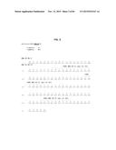 ANTI-SOD1 ANTIBODIES AND USES THEREOF diagram and image