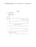 ANTI-SOD1 ANTIBODIES AND USES THEREOF diagram and image