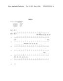 ANTI-SOD1 ANTIBODIES AND USES THEREOF diagram and image