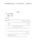 ANTI-SOD1 ANTIBODIES AND USES THEREOF diagram and image