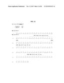 ANTI-SOD1 ANTIBODIES AND USES THEREOF diagram and image