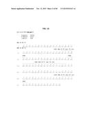 ANTI-SOD1 ANTIBODIES AND USES THEREOF diagram and image