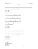 ANTI-SOD1 ANTIBODIES AND USES THEREOF diagram and image