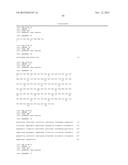 ANTI-SOD1 ANTIBODIES AND USES THEREOF diagram and image