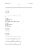 ANTI-SOD1 ANTIBODIES AND USES THEREOF diagram and image