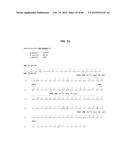 ANTI-SOD1 ANTIBODIES AND USES THEREOF diagram and image