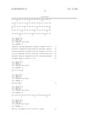 ANTI-SOD1 ANTIBODIES AND USES THEREOF diagram and image