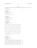 ANTI-SOD1 ANTIBODIES AND USES THEREOF diagram and image